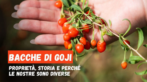 Bacche di Goji: proprietà, storia e perché le nostre sono diverse