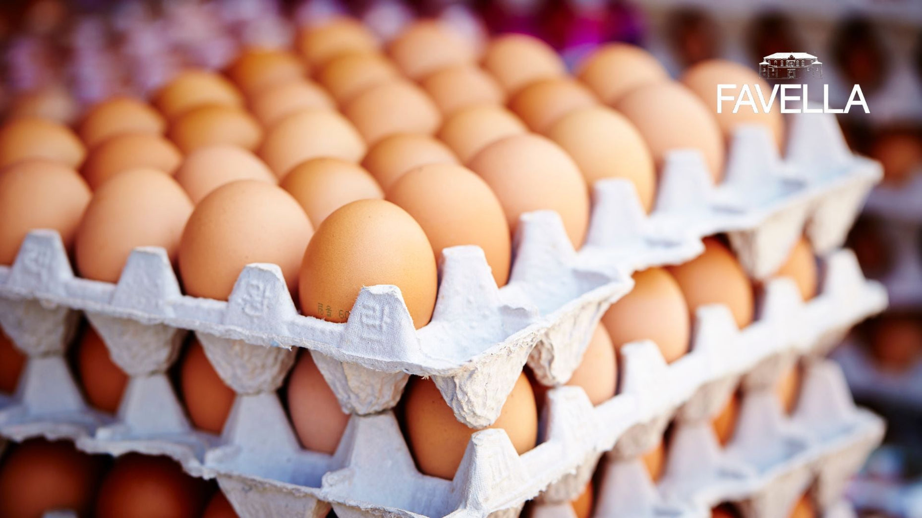 Fresh Egg Shelf Life How Long Do Farmer's Eggs Really Last? Azienda