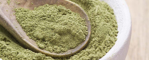 Polvere di Moringa in cucina, come usare il superfood naturale - Azienda Agricola Favella