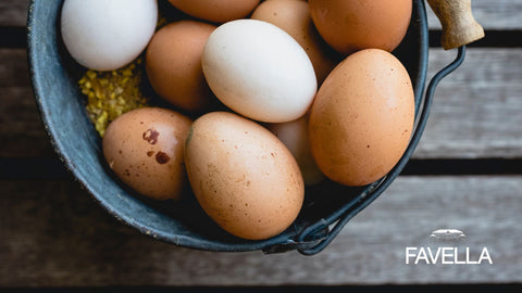 mangiare uova ogni giorno