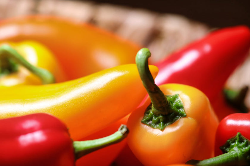 I 10 Peperoncini più Piccanti al Mondo: scopri la classifica! – Azienda ...