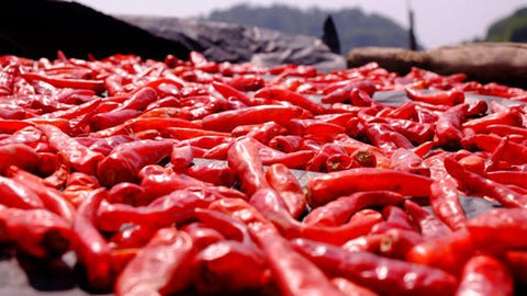 Quando non si deve mangiare il peperoncino? - Azienda Agricola Favella