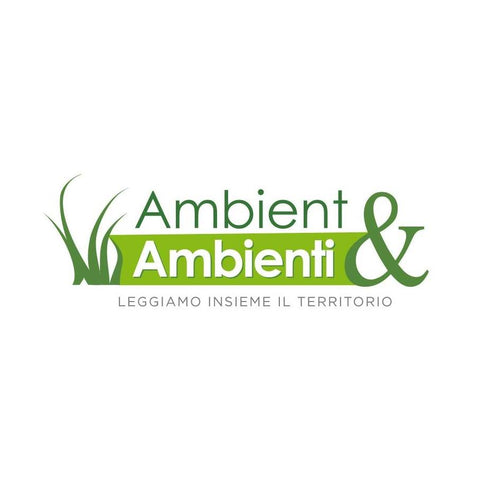 Ambient & Ambienti