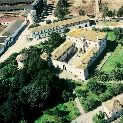 azienda agricola favella