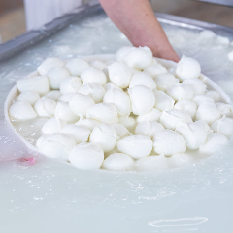 Bocconcini di latte di Bufala - Azienda Agricola Favella